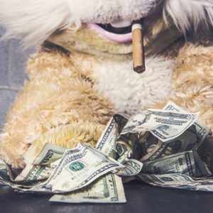 Bild von einem Teddy mit Zigarre und Banknoten